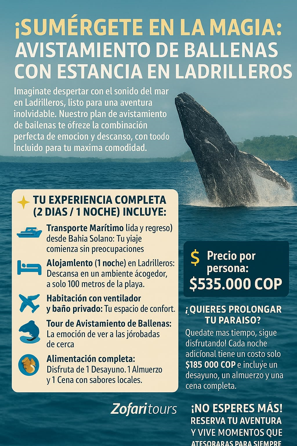 Flyer Avistamiento Ballenas Ladrilleros